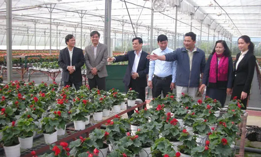 Measures to tackle high tech agriculture difficulties discussed in Lam Dong