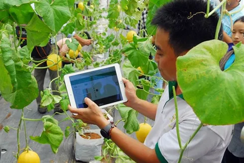 Experts welcome shift in credit policy for hi-tech agriculture