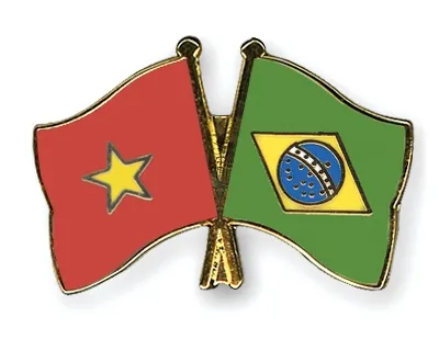 Vietnam and Brazil hold political consultation