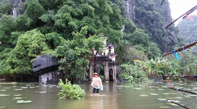 Flood causes serious losses to agriculture