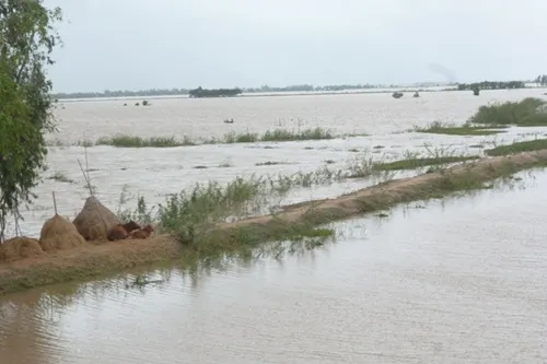 Mekong Delta expecting floods