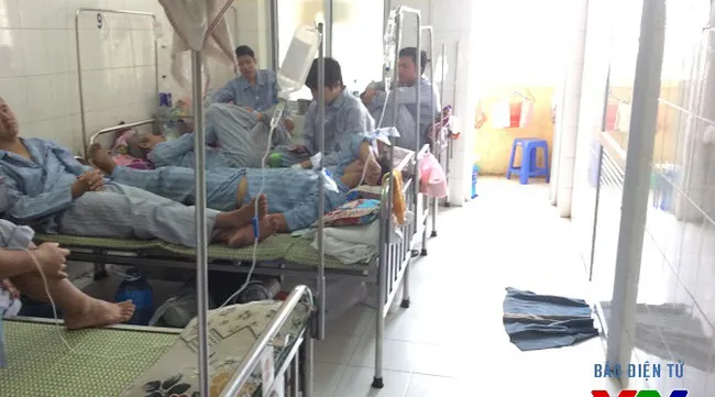 Dengue fever cases fall