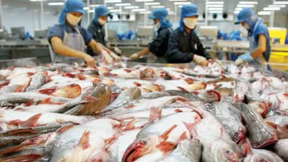 Food safety required for Vietnam's catfish imports to the US