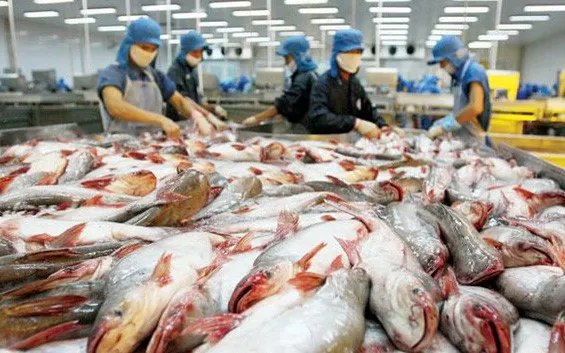 Measures to foster tra fish export