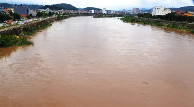 Hanoi Red River consultancy not yet decided