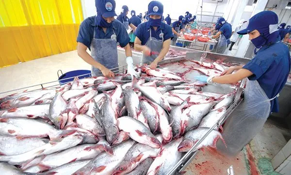 EU warns yellow card risk for Vietnamese food