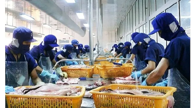 Tra fish enterprises target domestic market