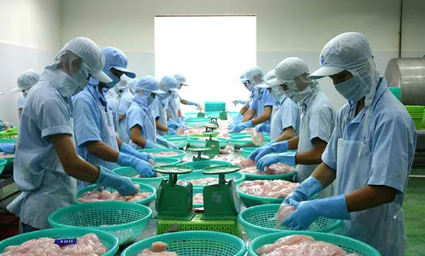 Prices of tra fish and black tiger shrimp surge