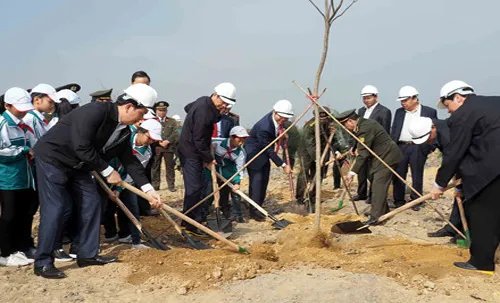 State President launches tree planting festival