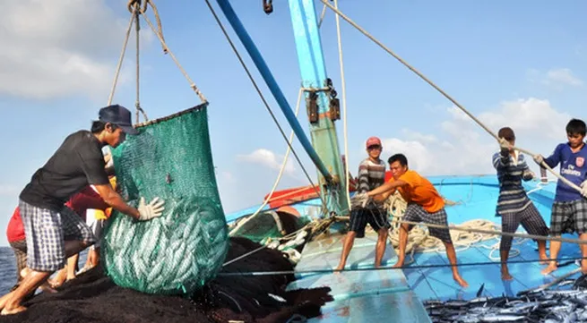 Responsible fishing promoted in Khanh Hoa province