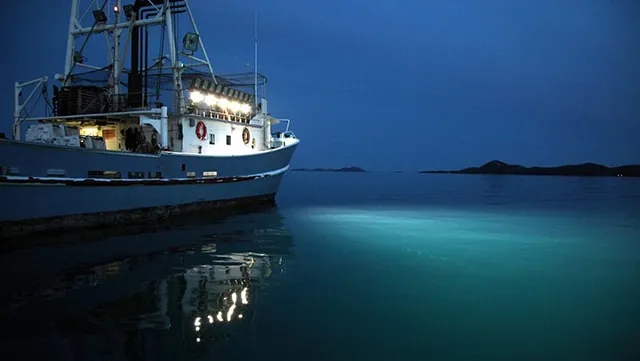 LED technology to be applied in fishing