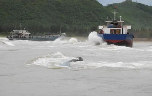 Deputy PM directs response to storm Talas consequences