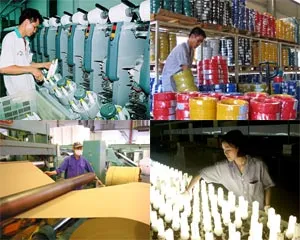 Equitisation lags behind schedule