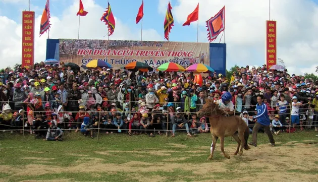 Unique horse race festival in Phu Yen