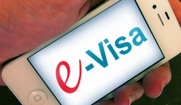 More than 96,000 foreigners granted e-visa in past nine months