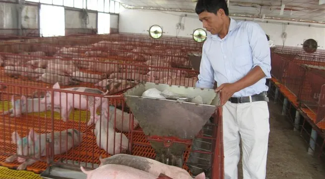 Ho Chi Minh City aims to become breeding hub