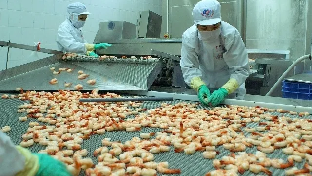 EU becomes largest importer of Vietnamese shrimp