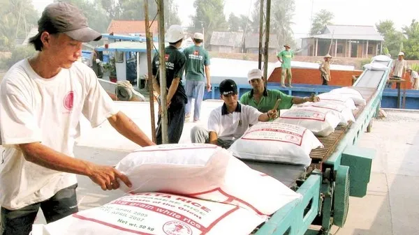 Rice exports decline in January