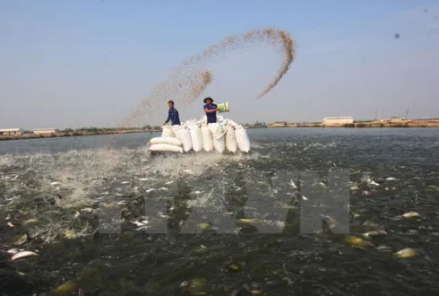 FDI in the Mekong Delta rises