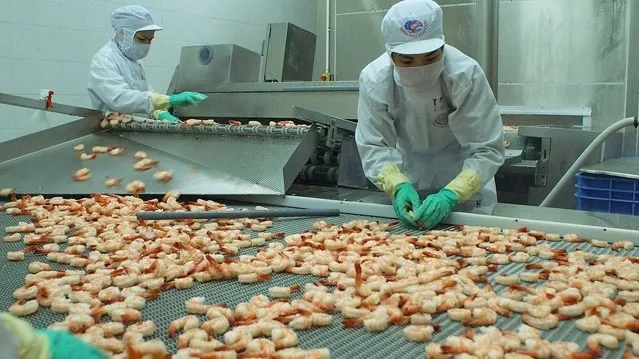 Vietnam’s seafood sector looks to long-term growth