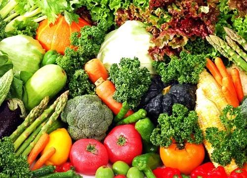 Vietnamese sees more organic farming business