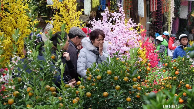 Tet flower market in Hanoi