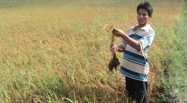 High tech needed to improve quality of Vietnam farming