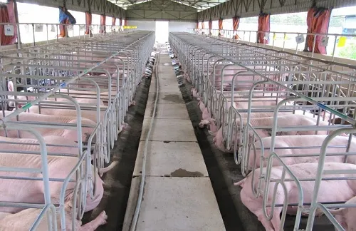 Banks to assist farmers