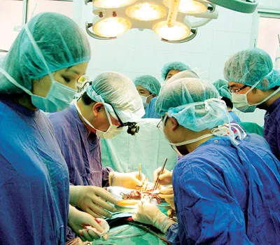 Milestones in Vietnam’s organ transplant history