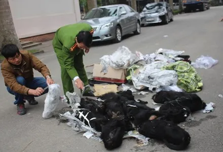 Wild animals traffickers caught