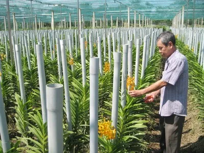 HCM City plans to spend US$1.8 billion for new rural area