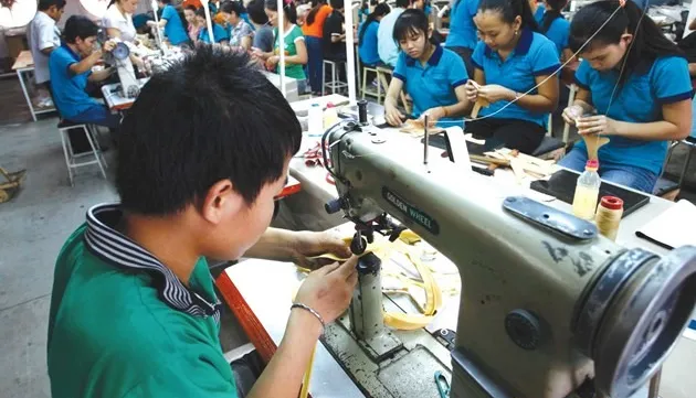 Support local firms after FTAs