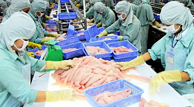 Fish exporters face difficulties in hitting year-end goal