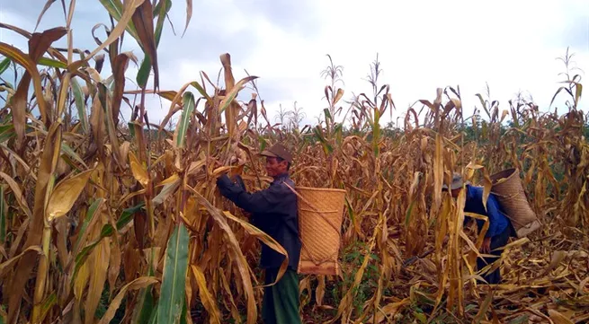 Farmers still struggling to access bank loans