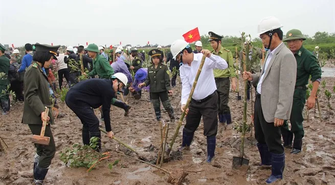 Wetlands mitigate disaster risks