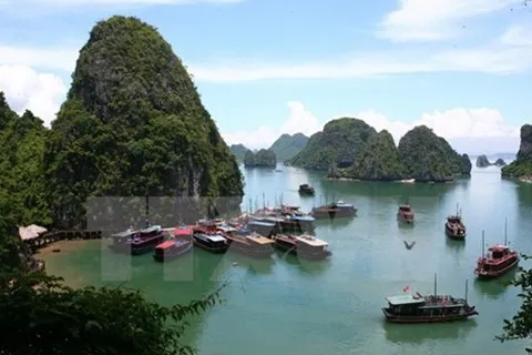 Australian tourist dies in Hạ Long Bay