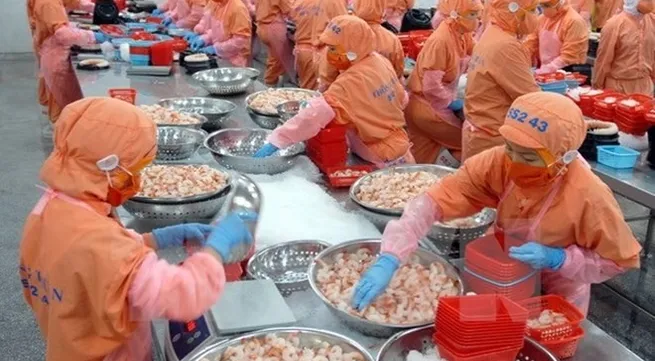 Việt Nam slams Australia’s prawn ban