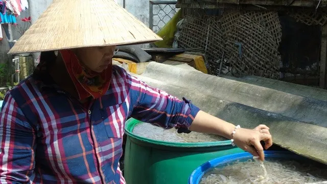 Rotting jellyfish yet to destroyed in Hà Tĩnh