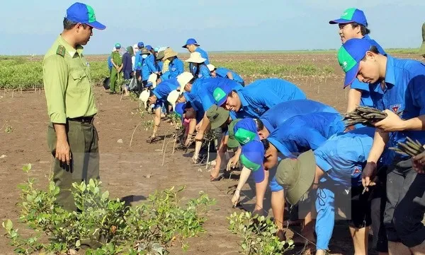 Climate policy hub opens in Hà Nội