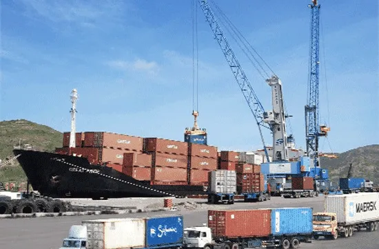 Decrees clarify container depot questions