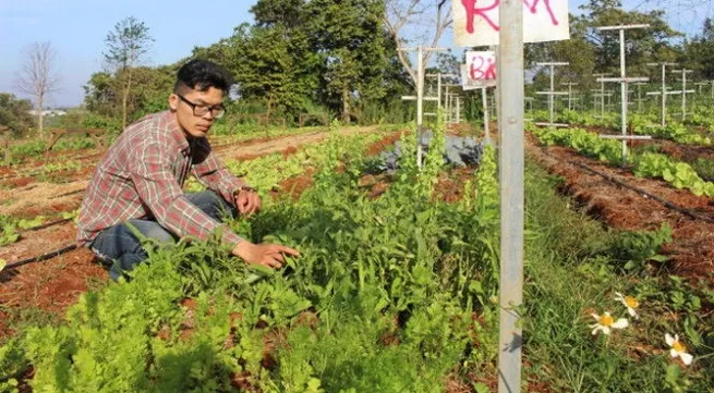 VN garden has Israeli roots