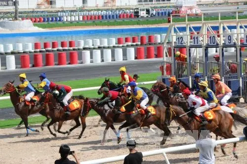 Đại Nam racecourse inaugurated in Bình Dương Province