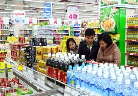 VN prepares domestic trade strategy