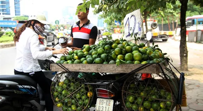 Ban on street fruit stands proposed