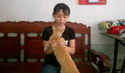 Passenger forced off Phuong Trang bus for smuggling cat in backpack