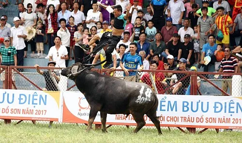 Man mauled to death by his buffalo during fest in northern Vietnam