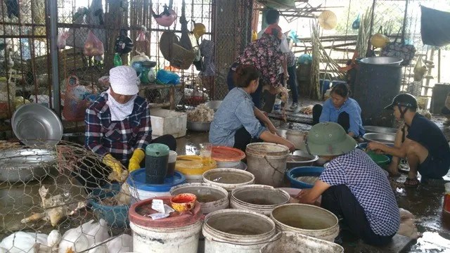 Thanh Hóa rife with illegal slaughterhouses