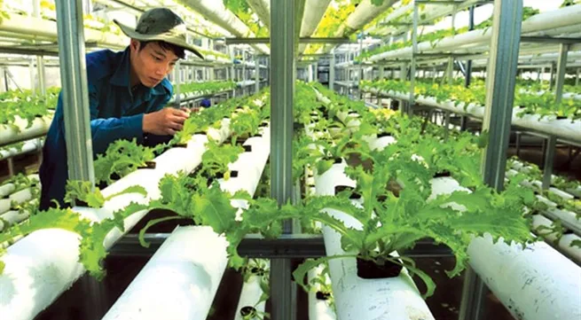 Tiền Giang develops hi-tech agricultural park