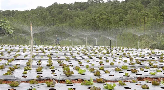 High-tech agriculture firms still hard to access VNĐ100 trillion credit package