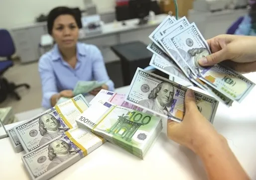 Alarm over foreign currency lending growth